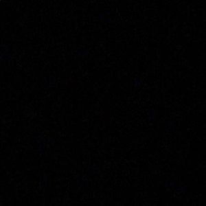 Meet your Posher, Payton